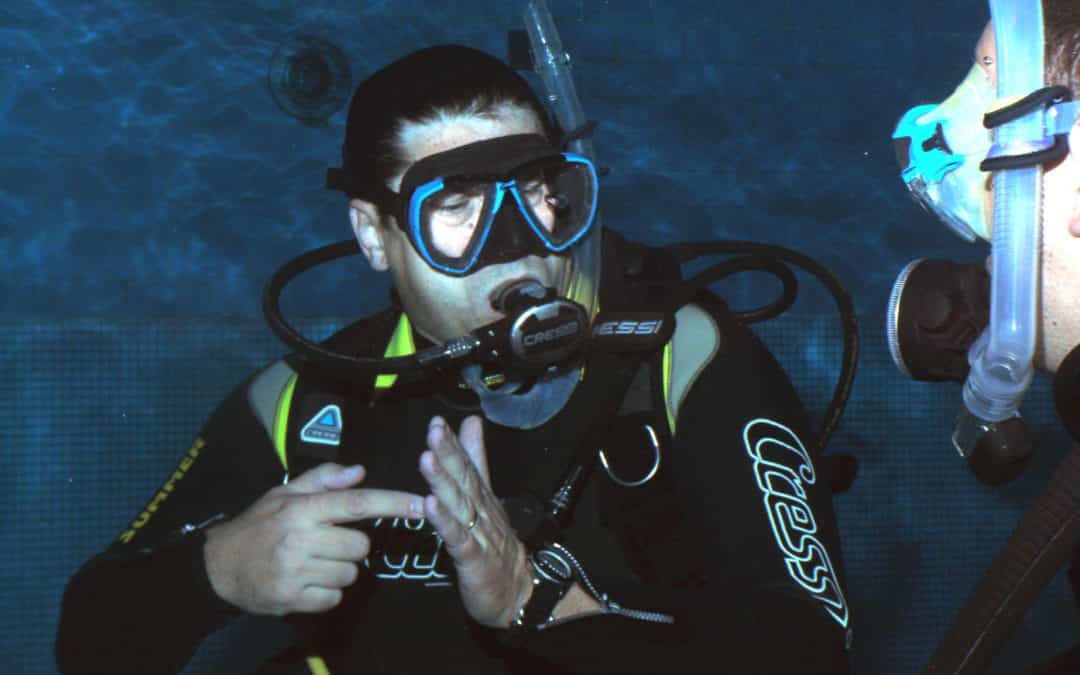 Rapport d&rsquo;activités 2024