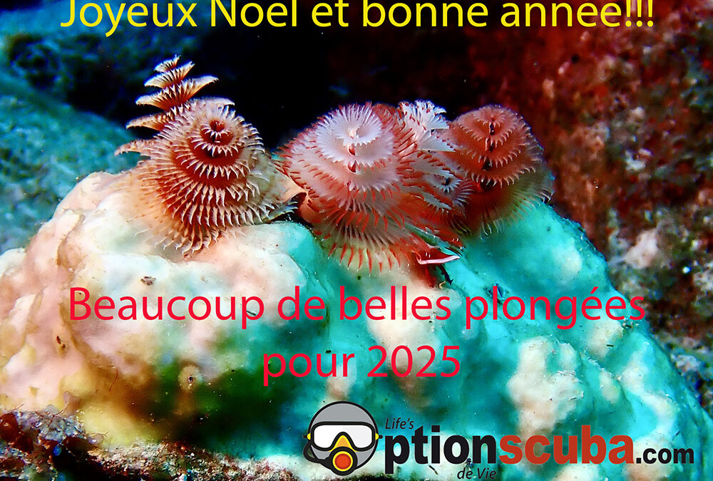 Noël 2024